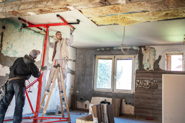 Best Insulation Installation Services in Springfield, NJ