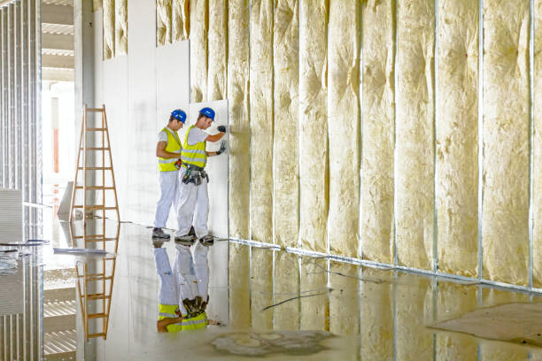 Best Residential Insulation in Springfield, NJ